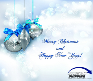 Merry Christmas & Happy New Year!
