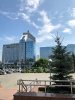 Российско-китайский бизнес-форум в Тюмени