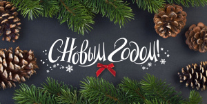 C наступающим Новым годом и Рождеством!
